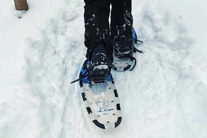 Blue Mountain and Scenic caves of Collingwood - Blue Mountain Village free time: 4 hours for food, photos, and winter fun