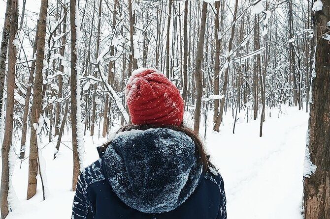 Blue Mountain and Scenic caves of Collingwood - What’s included (and why it matters for value)
