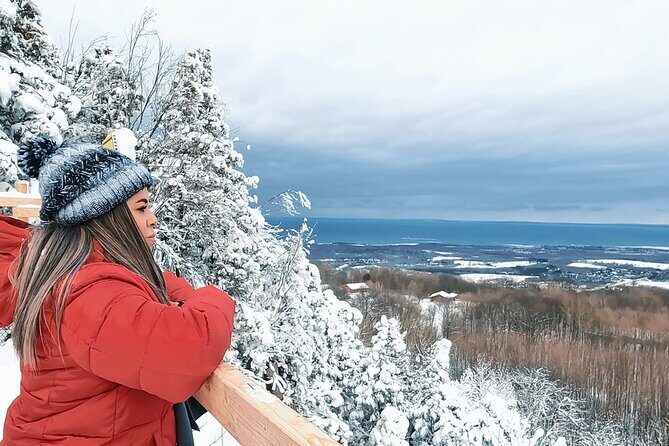 Blue Mountain and Scenic caves of Collingwood - Price/value check: what you’re really paying for