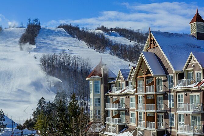 Blue Mountains Shuttle from Toronto – Village or Scenic Caves - Key Highlights You’ll Feel From the Start