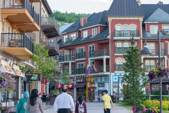 Blue Mountains Shuttle from Toronto – Village or Scenic Caves - From Toronto to The Blue Mountains: Timing, Comfort, and What the Drive Adds