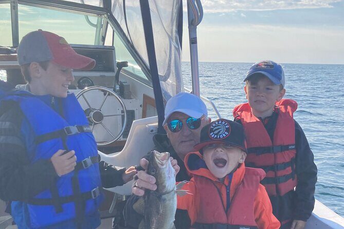 Boat Tours from Quidi Vidi Marina - Key things that make this tour click