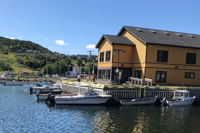 Boat Tours from Quidi Vidi Marina - Quidi Vidi Marina: easy launch point for a bold Newfoundland day