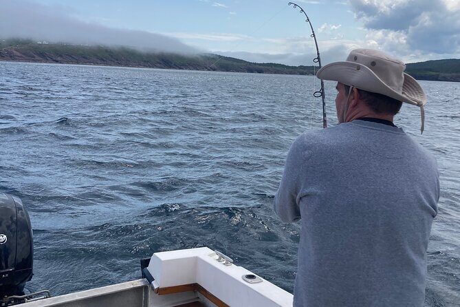 Boat Tours from Quidi Vidi Marina - Whales, puffins, and icebergs: how the deck experience works