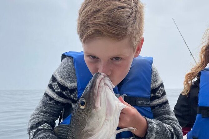 Boat Tours from Quidi Vidi Marina - Timing the day: morning vs afternoon and why it matters