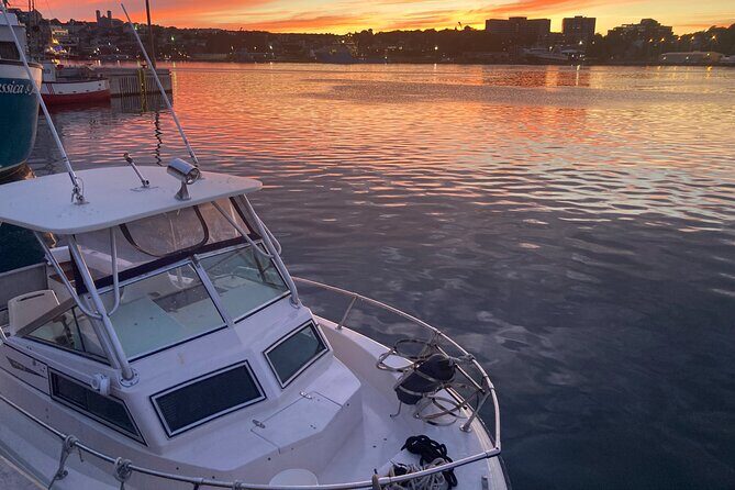 Boat Tours from Quidi Vidi Marina - Onboard extras: bring your drinks and get your catch cooked