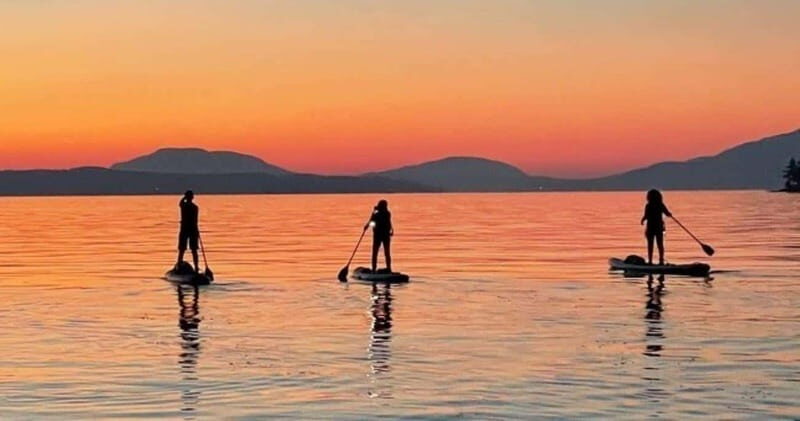 Brentwood Bay: Bioluminescence Tour - Key Takeaways Before You Go