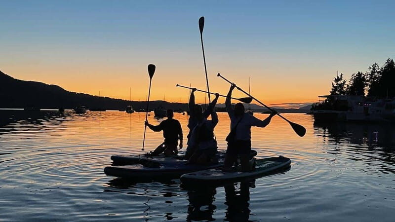 Brentwood Bay: Bioluminescence Tour - Practical Tips That Actually Help Your Night Glow