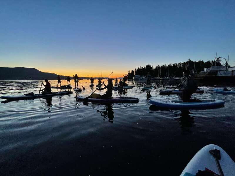 Brentwood Bay: Bioluminescence Tour - Bioluminescence on a SUP: What Makes This Tour Worth It