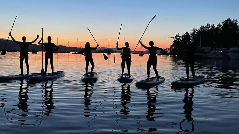 Brentwood Bay: Bioluminescence Tour - Learning the Glow: What’s Really Causing the Light