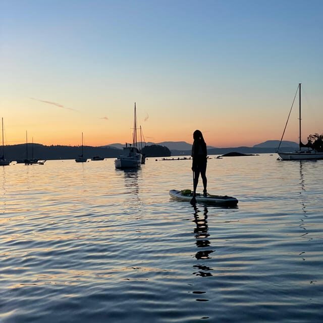 Brentwood Bay: Bioluminescence Tour - Wildlife and the Night Soundtrack: The Quiet Part You’ll Remember