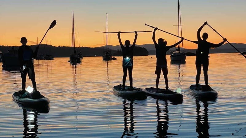 Brentwood Bay: Bioluminescence Tour - Price and Value: Is $74 a Good Deal for Two Hours?