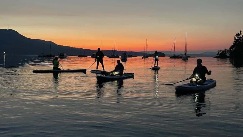 Brentwood Bay: Bioluminescence Tour - Meeting at 819 Verdier Ave: Easy Start, Real Safety Briefing