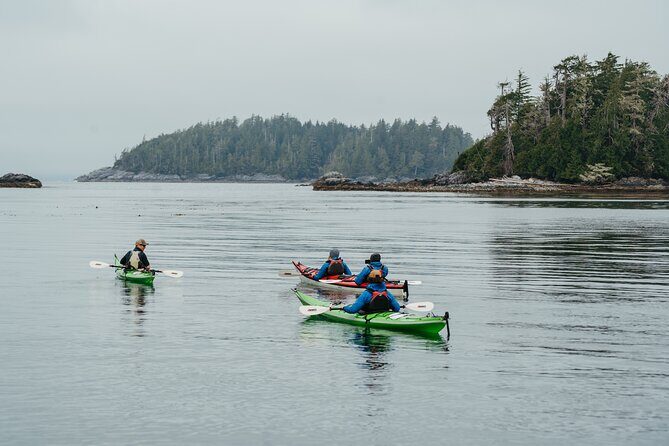 Broken Group Islands Day Tour - Weather, Water Transport, and How to Stay Flexible