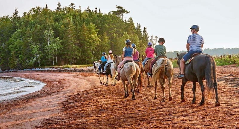 Brudenell: Family-Friendly Horse Ride goes on the Beach - Key Points You’ll Care About