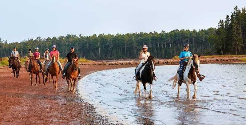 Brudenell: Family-Friendly Horse Ride goes on the Beach - Price and value: is $47 for 45 minutes worth it?
