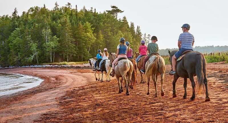 Brudenell: Family-Friendly Horse Ride goes on the Beach - If you want longer beach time or an adult-focused ride