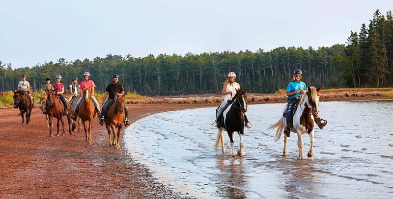Brudenell: Family-Friendly Horse Ride goes on the Beach - The 45-minute ride plan: what happens from check-in to hoofbeats on PEI’s trails
