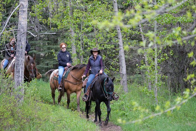 Buffalo Loop 1-Hour Horseback Trail Ride in Kananaskis - Key highlights I’d plan around