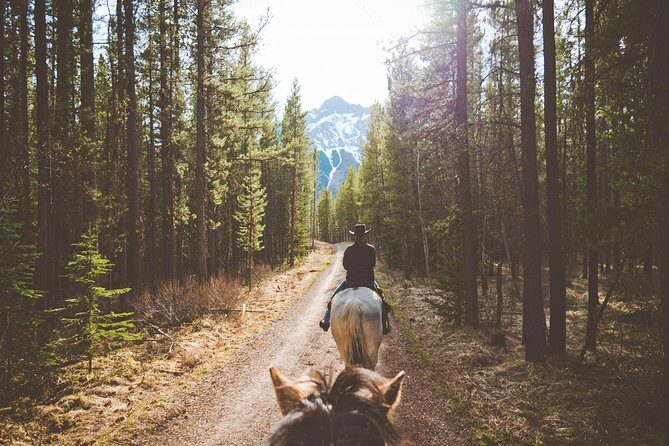 Buffalo Loop 1-Hour Horseback Trail Ride in Kananaskis - Boundary Ranch stop: the Buffalo Paddock moments and the forest loop