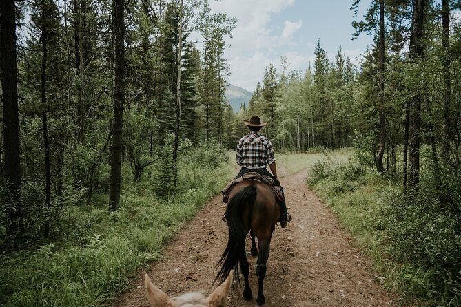 Buffalo Loop 1-Hour Horseback Trail Ride in Kananaskis - Wildlife chances in Kananaskis: what to watch for (and why it’s part of the fun)