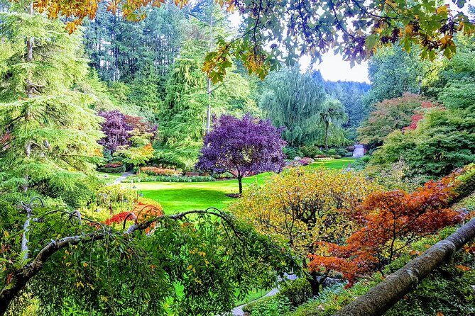 Butchart Gardens and City Highlights Private tour - Inner Harbour to Fisherman’s Wharf: Float Homes and Easy Harbour Views