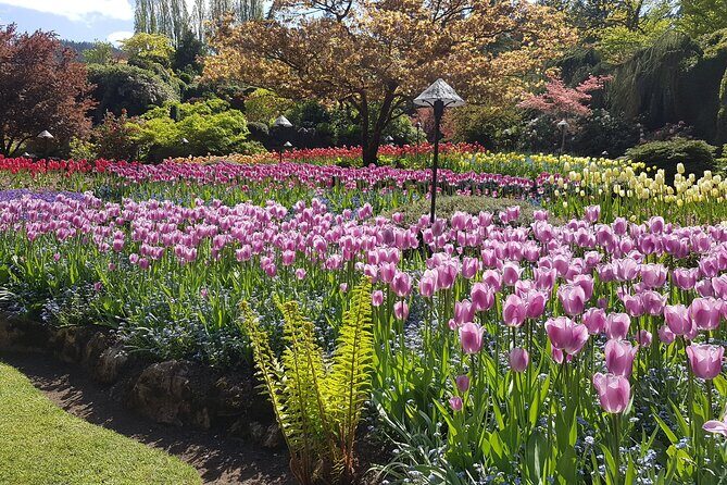 Butchart Gardens and City Highlights Private tour - Private Transportation That Keeps the Day Calm