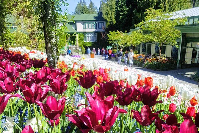 Butchart Gardens and City Highlights Private tour - Thunderbird Park Story Poles: A Quick Stop With Real Context