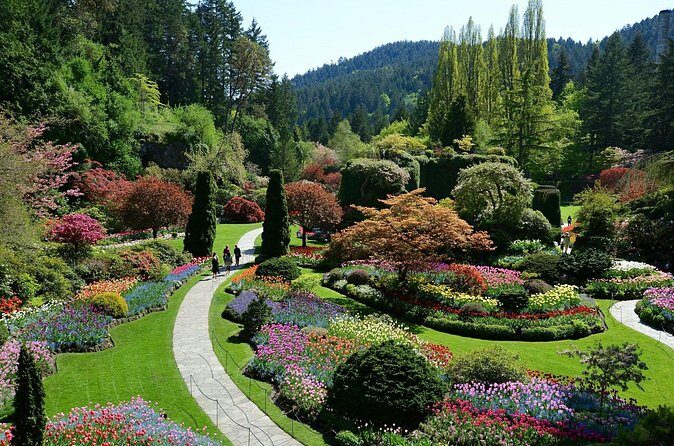 Butchart Gardens Evening Illumination Shuttle - Should you book the Butchart Gardens Evening Illumination Shuttle?