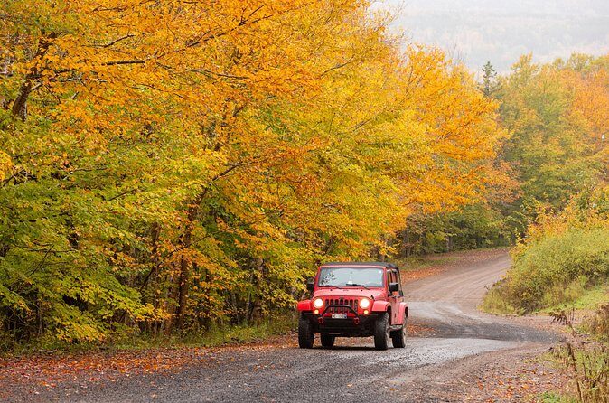 Cabot Trail Jeep Adventure - Cruise Excursion - What’s Not Included (and How to Plan Without Stress)