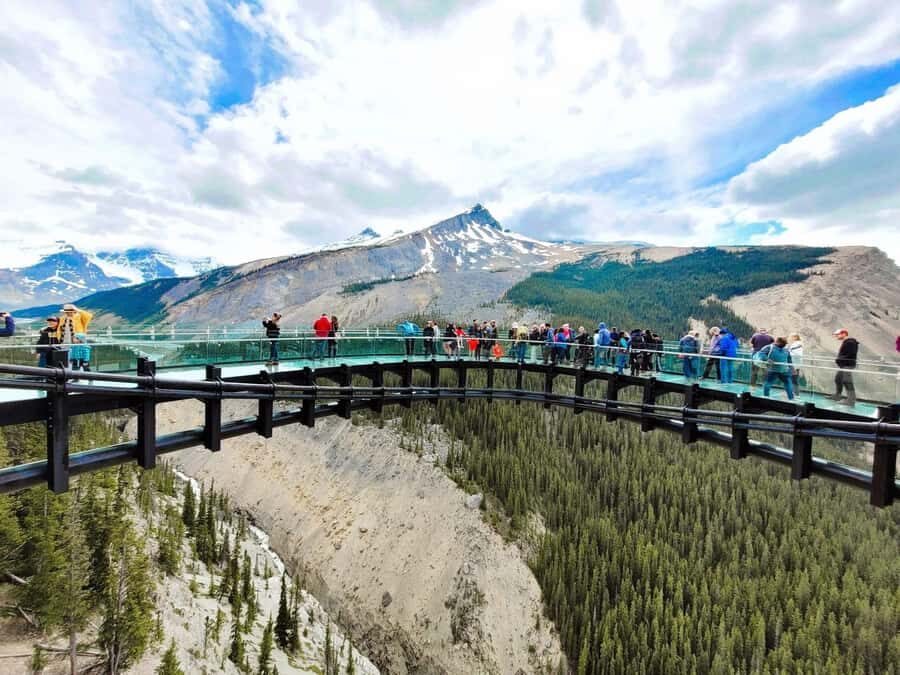 Calgary Banff: Columbia Icefield, Skywalk and Lakes Day Tour - Bow Lake and Peyto Lake: Where the Day Turns Into Postcard Territory