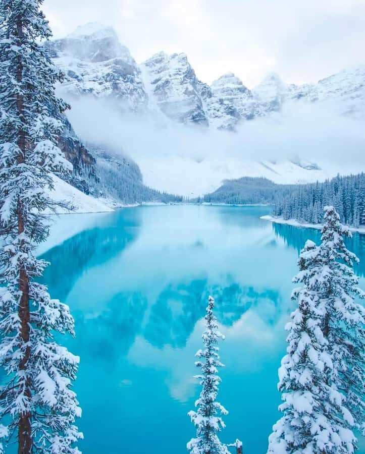 Calgary, Banff: Lake louise , Moraine ,Emerald Lake day Tour - Key things to know before you go