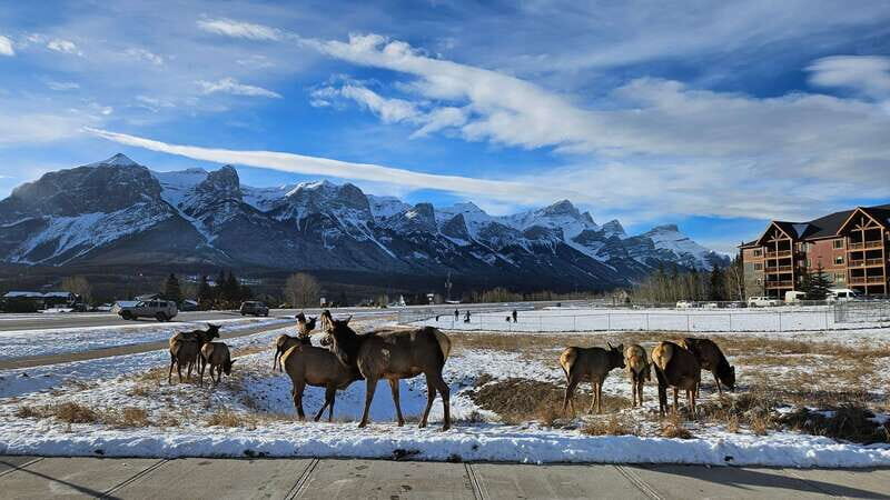 Calgary: Canmore, Banff, Lake Louise - Gondola Included - What the $136 price really buys you