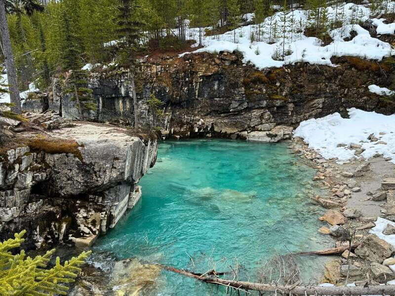 Calgary/Canmore: Lake Louise, Moraine Lake, & Banff Day Tour - Guides who keep the day moving (and actually explain things)