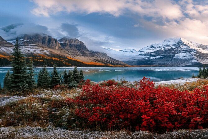Calgary: Columbia Icefield Adventure, Skywalk and Peyto Lake Tour - Crowfoot Glacier and Bow Lake: classic Icefields icons