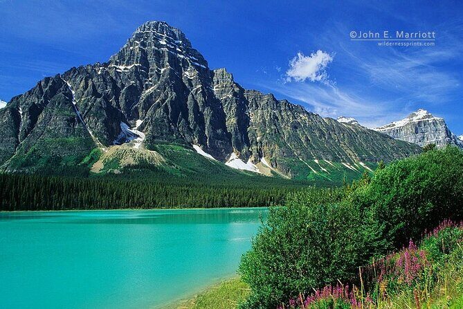 Calgary: Columbia Icefield, Skywalk, Crowfoot Glacier and Lakes - Peyto Lake and Waterfowl Lakes: Big Views, Short Walks