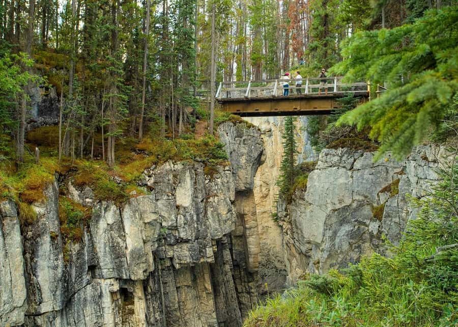 Calgary: Day Trip to Jasper with Lunch - Abraham Lake picnic: a wild-feeling shore break and wildlife spotting chances