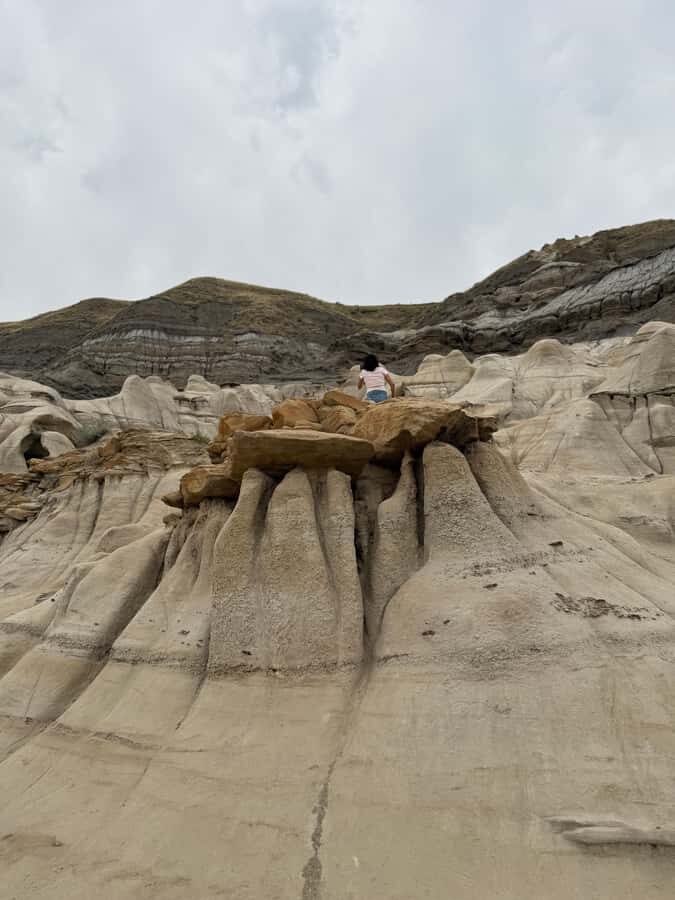 Calgary: Drumheller and Badlands Tour with Museum Entry - Price and Value: Is $138 Worth a Full Day?