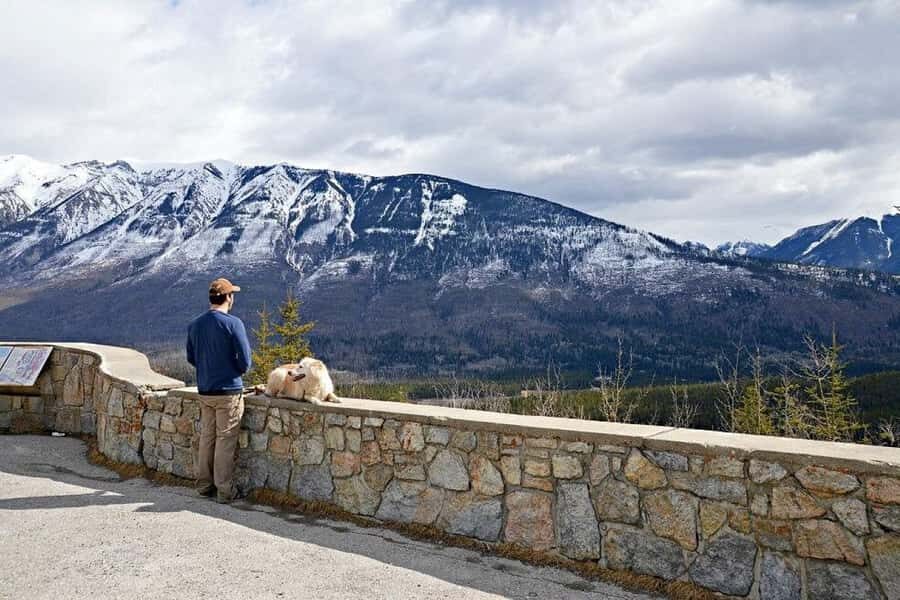 Calgary: Radium Hot Springs & Marble Canyon Day Trip - Kootenay Valley viewpoint: a 15-minute stop that actually matters