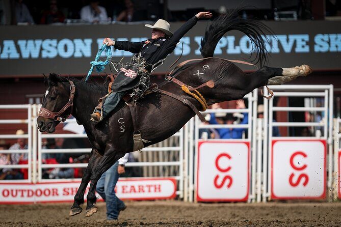 Calgary Stampede Afternoon Rodeo - Key Points That Matter Before You Go