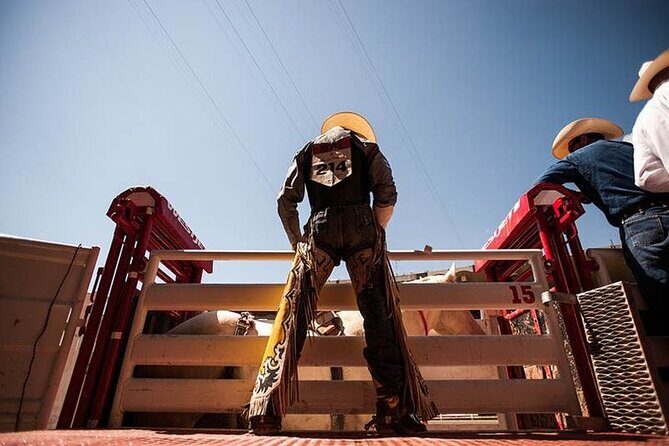 Calgary Stampede Afternoon Rodeo - Why This Rodeo Feels Serious: Winners Lead to Showdown Sunday