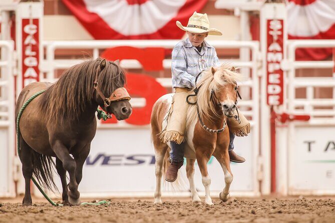 Calgary Stampede Afternoon Rodeo - Wheelchair Access and Small-Group Value