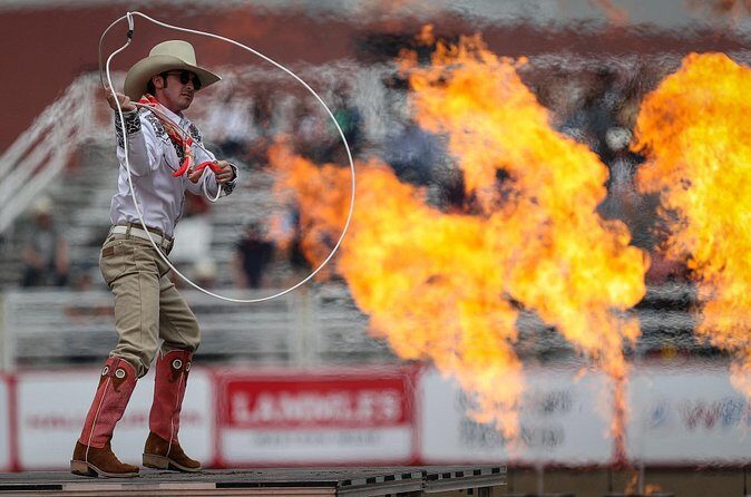 Calgary Stampede Afternoon Rodeo - Price and Value: Is $42 Worth It?