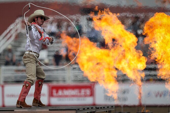 Calgary Stampede Afternoon Rodeo - Who This Rodeo Ticket Suits Best