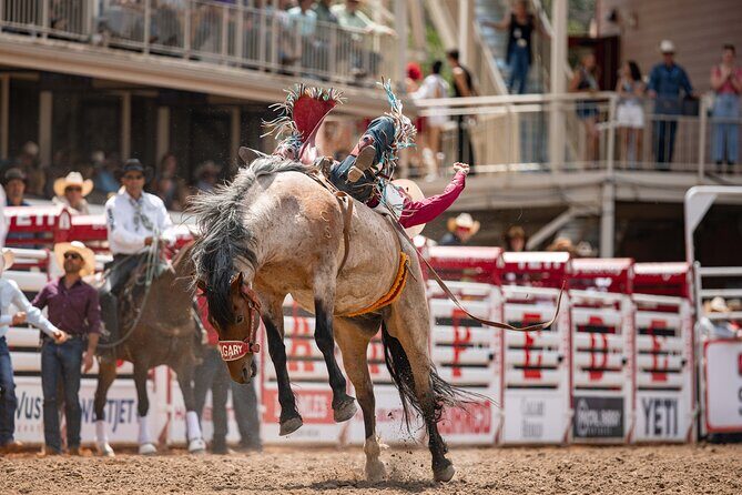 Calgary Stampede Afternoon Rodeo - The Seven Events You’ll See (and How to Enjoy Them)