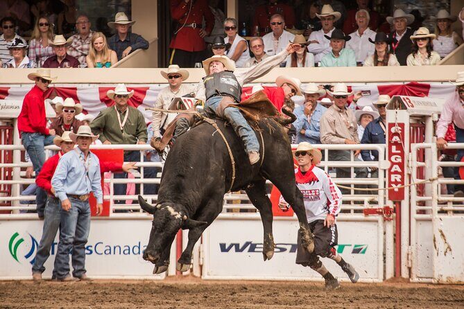 Calgary Stampede Two Day Thrill Package - The Calgary Stampede vibe: why this feels bigger than a rodeo