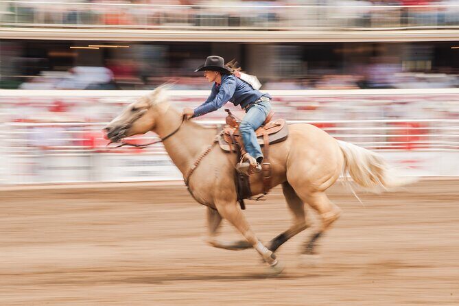 Calgary Stampede Two Day Thrill Package - Your reserved seating plan: afternoon rodeo vs. evening show