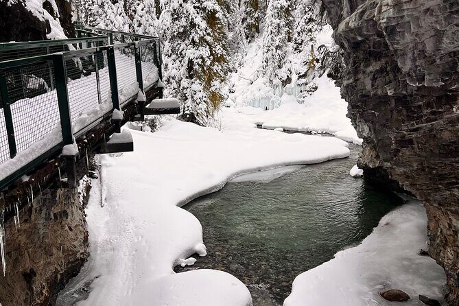Calgary to Louise, Moraine, Emerald Lake and Johnston Canyon Tour - Lake Louise Village: The 45-Minute Lunch Stop That Keeps You Moving