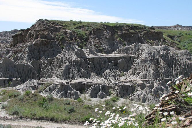 Calgary to Royal Museum | Drumheller – PRIVATE TOUR - Calgary to Drumheller: what the private format actually changes