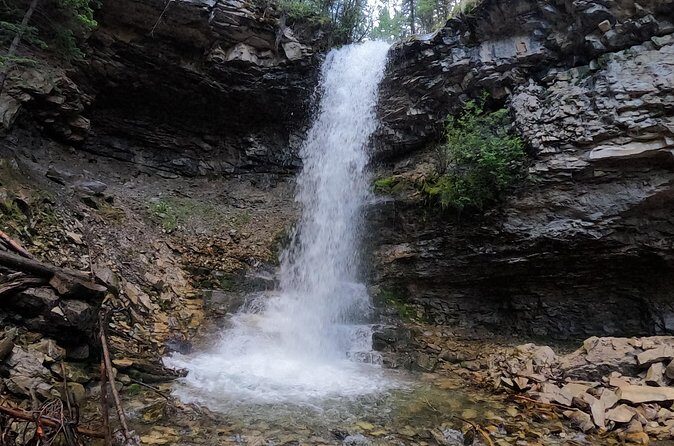Calgary to the Rocky Mountains Private Day Tour - How the timing really feels in a 4–6 hour day